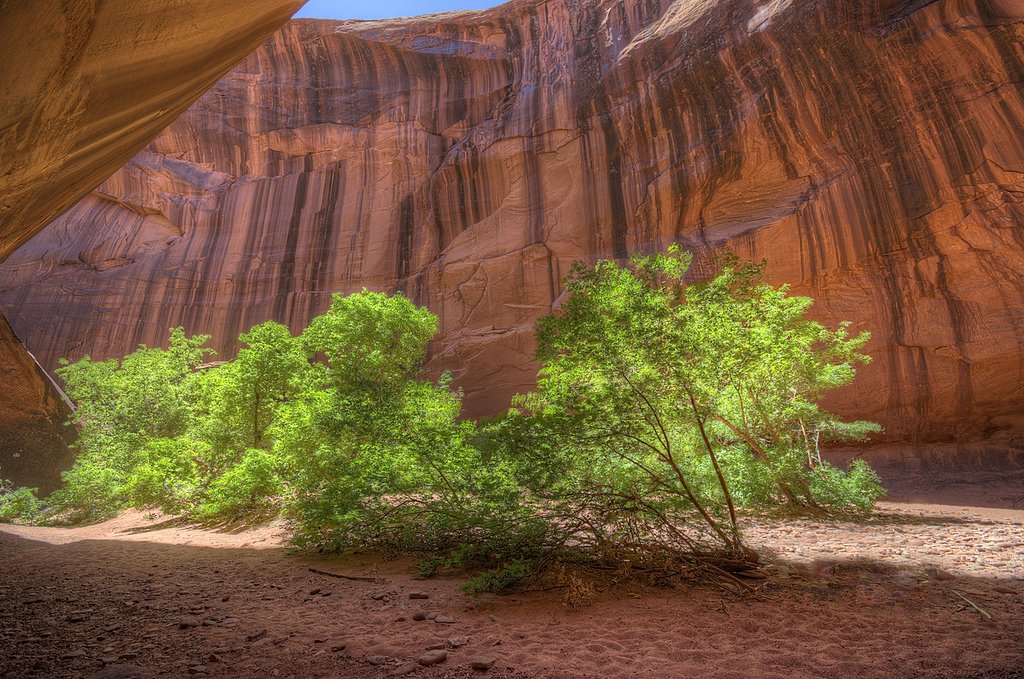 The Hidden Secrets of the Thousand Year Old Underground Cave
